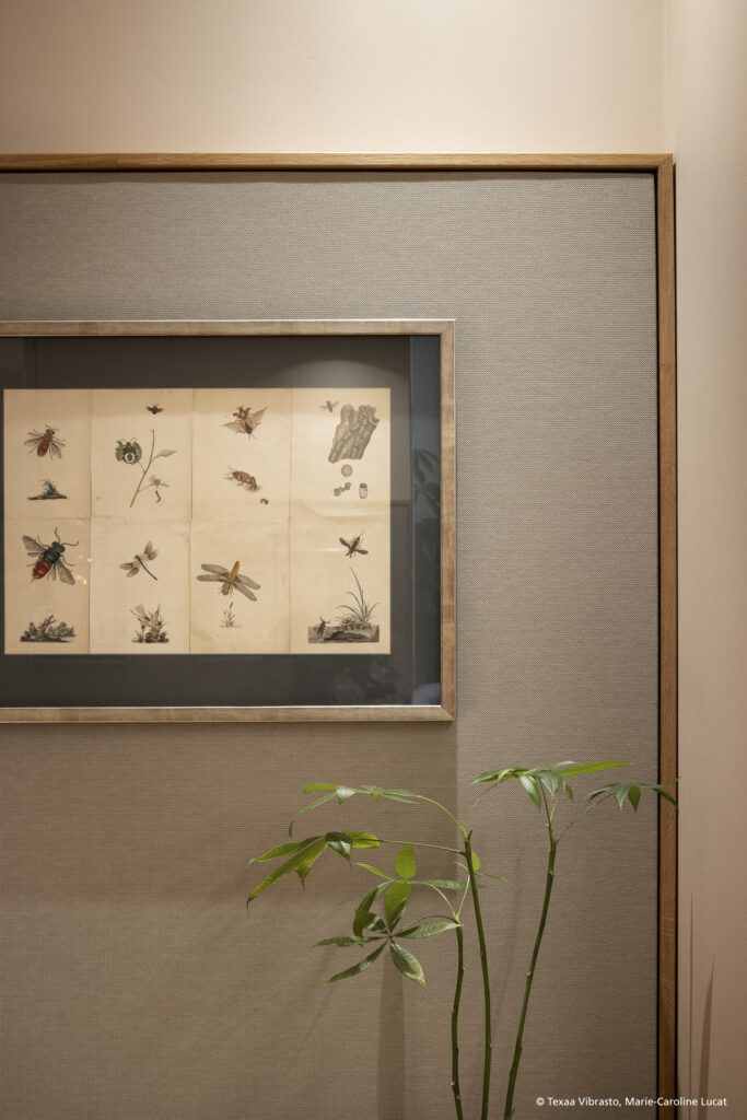 Mavotrans_geluidsabsorptie_Texaa_Vibrasto_plafond_wand_restaurant-Pollen_04